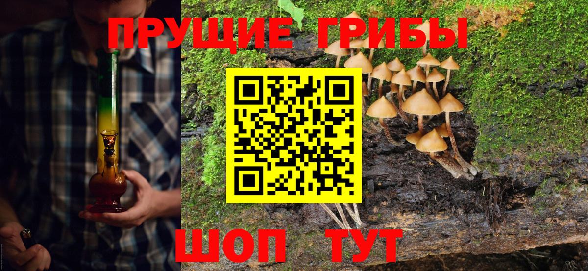 Галлюциногенные грибы Psilocybine cubensis  Вход с VPN  Лянтор 
